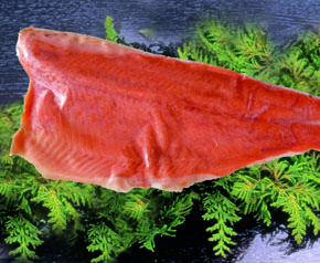 �T�[�������C�x