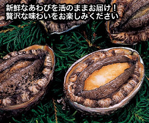 あわび