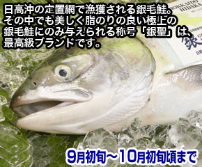 銀聖