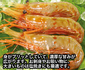ぼたんえび