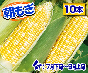 とうもろこし